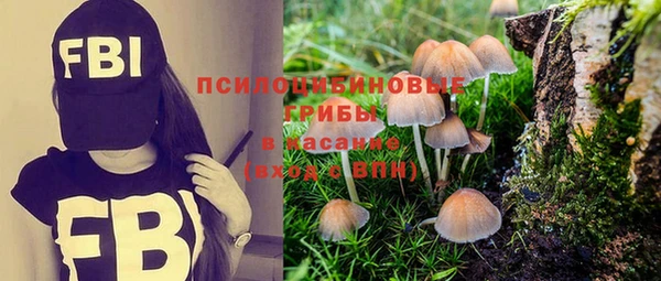 ECSTASY Елабуга
