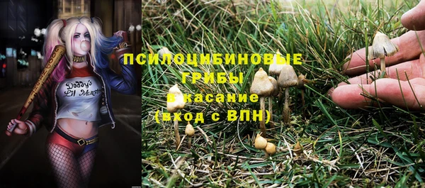 герыч Заволжск