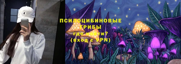 соль курить ск Ельня