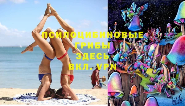 дживик Заволжье