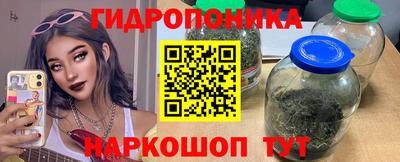 прущие грибы Абакан