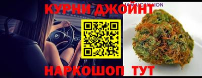 прущие грибы Абакан