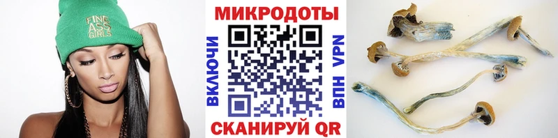 blacksprut ССЫЛКА  Сибай  Галлюциногенные грибы GOLDEN TEACHER 