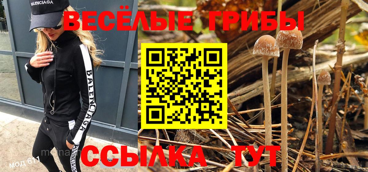 где найти   Вход с VPN  Галлюциногенные грибы MAGIC MUSHROOMS  Сибай  Галлюциногенные грибы прущие грибы 