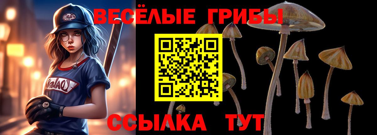 что такое наркотик  Сибай  Галлюциногенные грибы MAGIC MUSHROOMS  Галлюциногенные грибы прущие грибы 