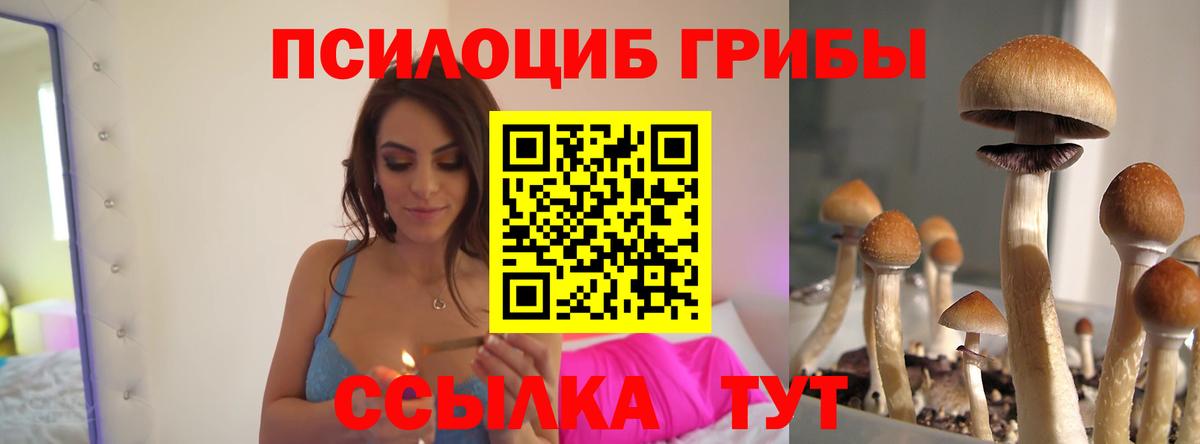 Псилоцибиновые грибы GOLDEN TEACHER Сибай